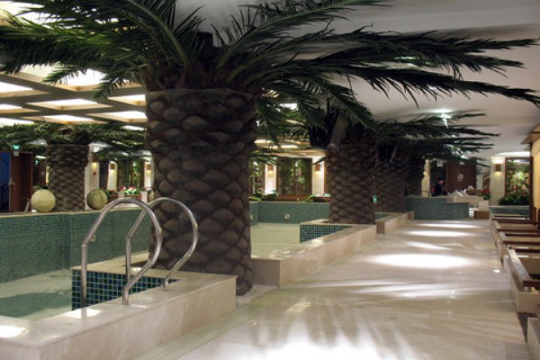 武汉泊濠大酒店茶事活动,邀您共赏茶文化(武汉泊濠大酒店地址)